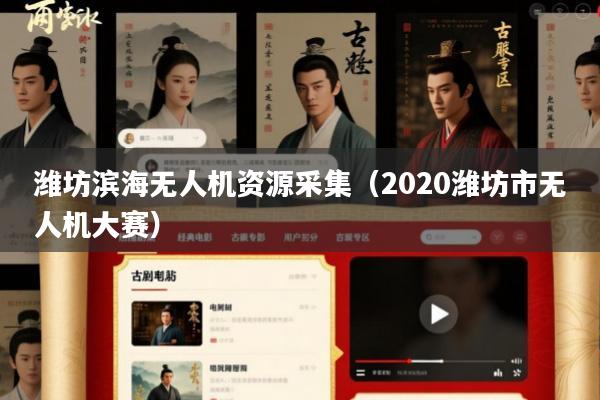 潍坊滨海无人机资源采集(2020潍坊市无人机大赛)