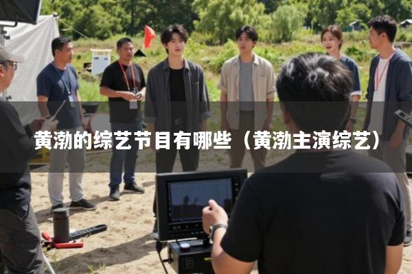 黄渤的综艺节目有哪些(黄渤主演综艺)